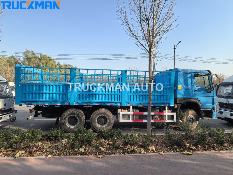 HOWO 6x4 cargo truck